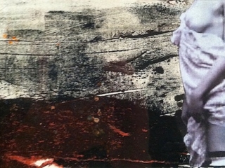 2011 I 13 x 25 cm