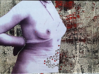 2011 I 13 x 25 cm