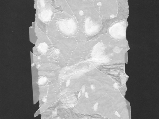 2020 I 12 x 17 cm