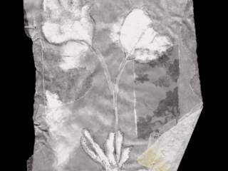 2026 I 20 x 13 cm