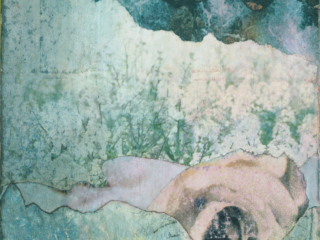 EMS 2023 impression sur papier peint 5 I 100 x 50 cm