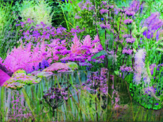 EMS 2023 impression sur papier peint 1 I 150 x 50 cm